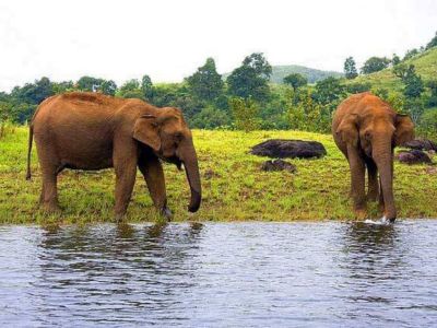 The Perfect Tour of India